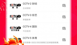 可以看直播也可以看片的app,探索全能娱乐应用新体验