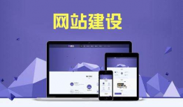 麻豆网站建设,打造专业、高效的电子商务平台