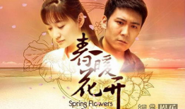 春暖花开电视剧,爱在花开时节的浪漫邂逅