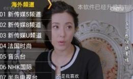 星火new直播1 91闪退,星火new直播1 91版本闪退问题解析与解决