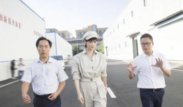 麻豆李,时尚界的璀璨新星