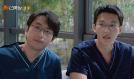 轻喜剧电视剧,轻松喜剧的欢乐之旅