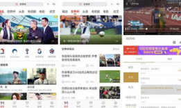 可以看直播也可以看片的app,探索全能娱乐应用新体验