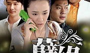孽缘电视剧,爱恨交织的宿命纠葛
