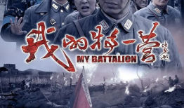 徐佳主演的电视剧,烽火岁月里的英雄传奇