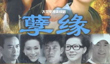 孽缘电视剧,爱恨交织的宿命纠葛