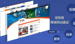 麻豆网站建设,打造专业、高效的电子商务平台