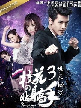 校花的贴身高手电视剧,校园风云，英雄救美，热血青春传奇