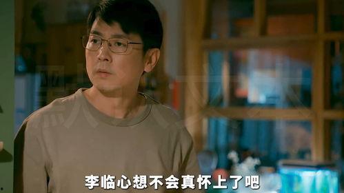 有电视剧吗,探寻那些荧幕上的精彩故事