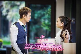 因为爱情有奇缘电视剧